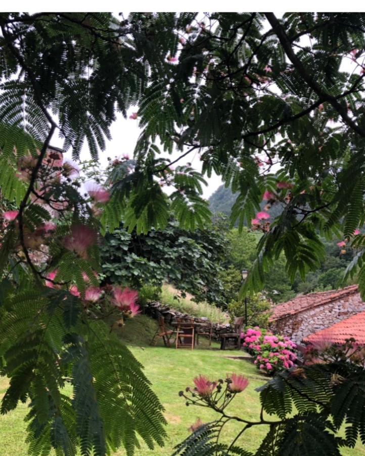 Hdec Hosteria De Castaneda Alojamiento Turistico Пуэнте-Вьесго Экстерьер фото