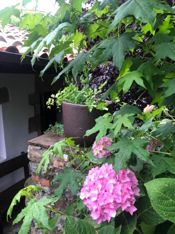Hdec Hosteria De Castaneda Alojamiento Turistico Пуэнте-Вьесго Экстерьер фото
